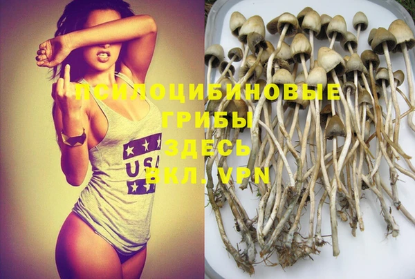 крисы Алексеевка
