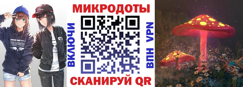 что такое наркотик  Петропавловск-Камчатский  Псилоцибиновые грибы ЛСД 