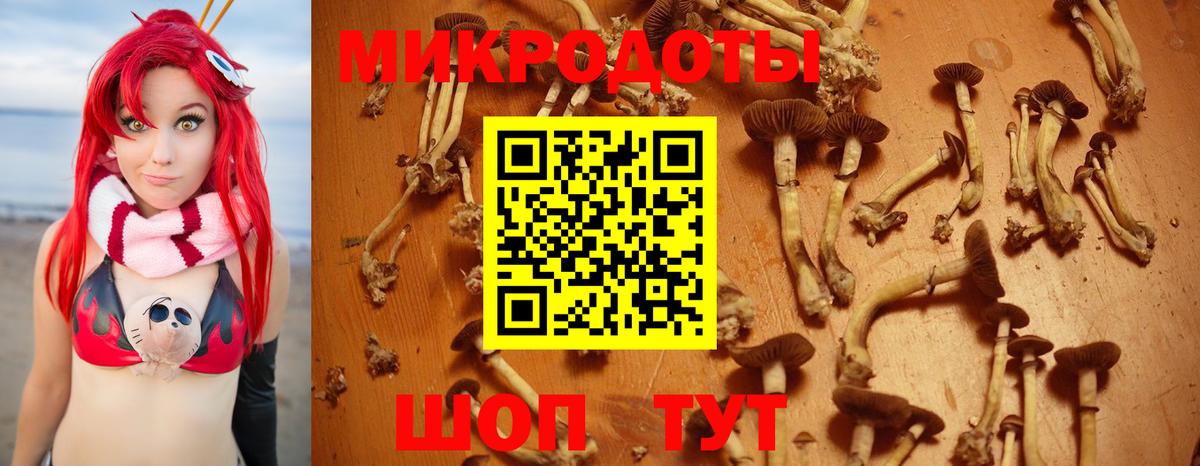 дарнет шоп  Галлюциногенные грибы Psilocybe  Вход с VPN  Петропавловск-Камчатский 